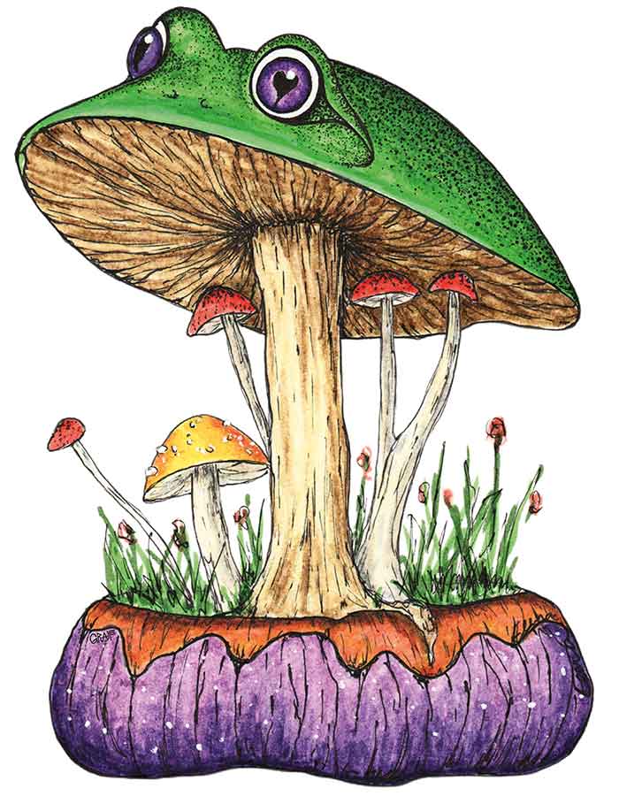 Mushrooms World
